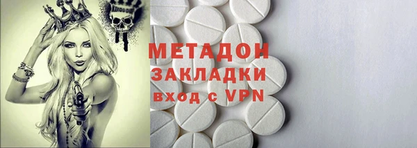 прущие грибы Аркадак