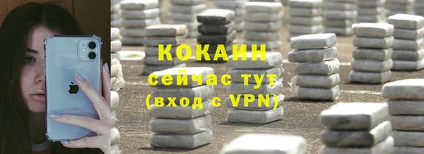 прущие грибы Аркадак