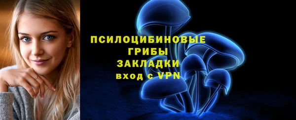 меф Арсеньев