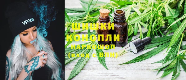 прущие грибы Аркадак