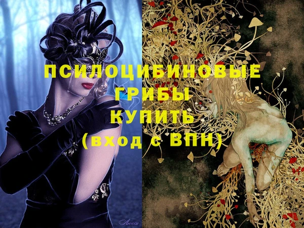 прущие грибы Аркадак