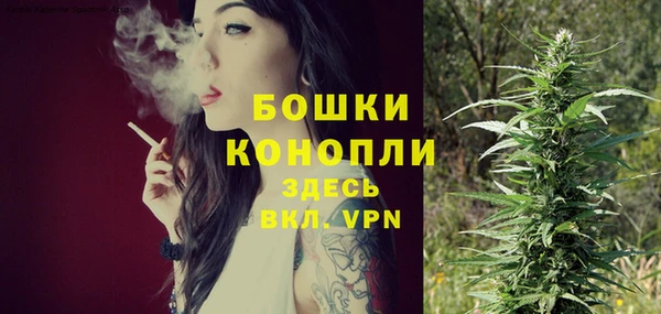 меф Арсеньев