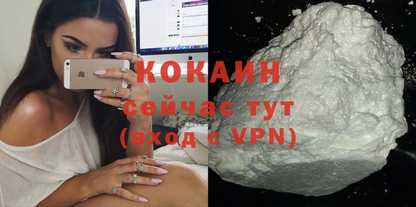 прущие грибы Аркадак