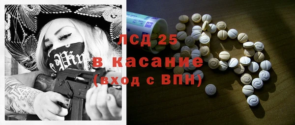 прущие грибы Аркадак