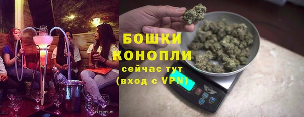 прущие грибы Аркадак